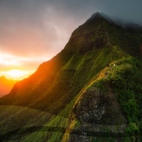 Six FREE Photo Resources to Make Your Campaign Feel Hyper Hawaii Local